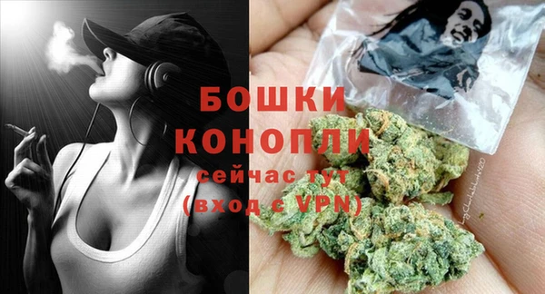 гашик Зерноград
