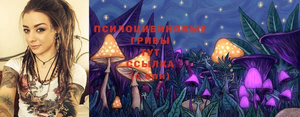 гидропоника Зеленодольск