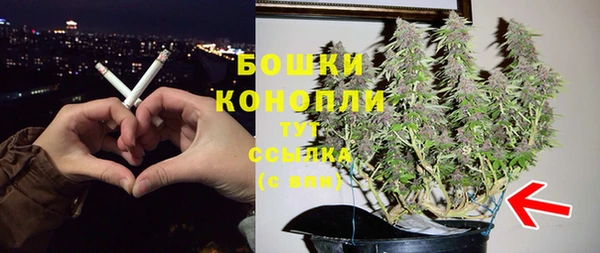 соль ск Чекалин